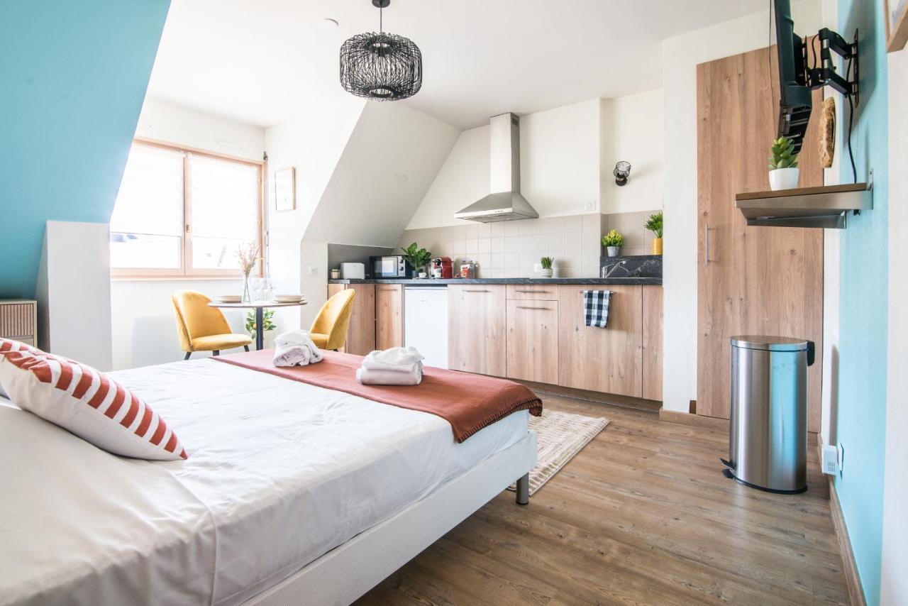 Apartament Lumineux - L'Oasis - Parking Prive Strasburg Zewnętrze zdjęcie