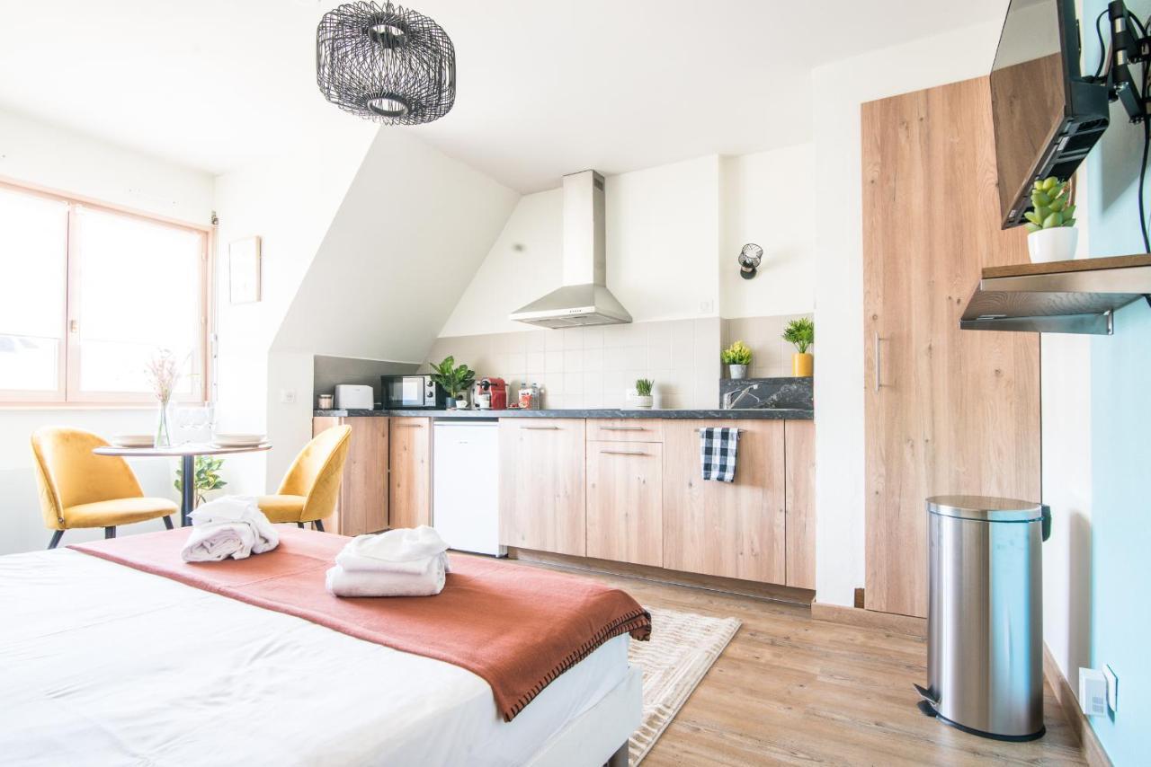 Apartament Lumineux - L'Oasis - Parking Prive Strasburg Zewnętrze zdjęcie